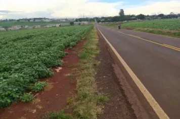 CONSTRUÇÃO DE UMA CICLOVIA NA RODOVIA ATÍLIO MEZZON - PR 575